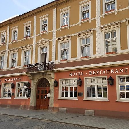 Hotel Sachsenhof Riesa Dış mekan fotoğraf
