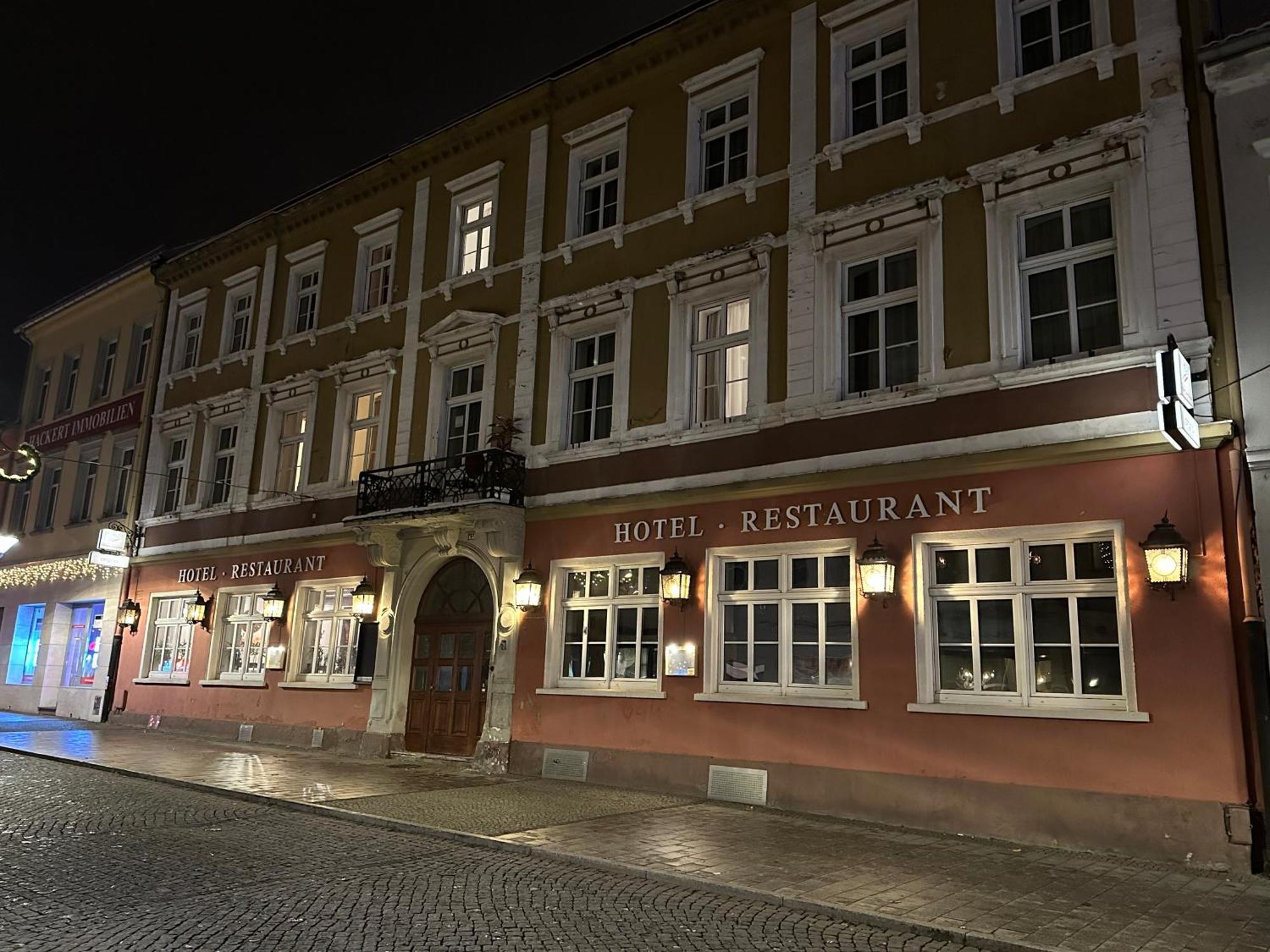 Hotel Sachsenhof Riesa Dış mekan fotoğraf